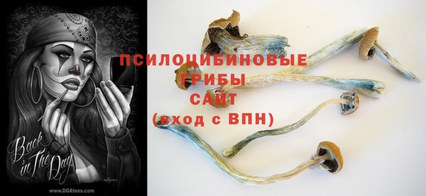 apvp Арсеньев