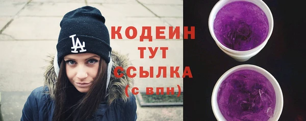 сатива Туринск