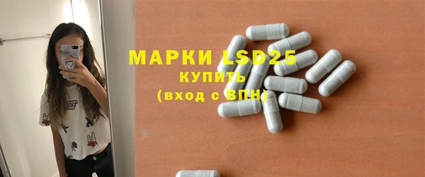 spice Аркадак