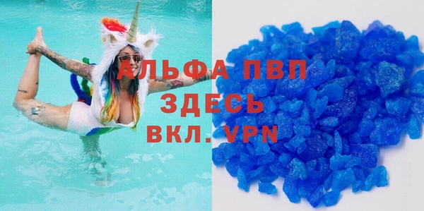 spice Аркадак