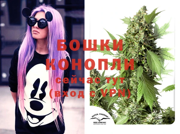 ECSTASY Армянск
