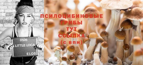 spice Аркадак